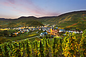 Blick auf Mayschoß, Ahrsteig, Rotweinwanderweg, Ahr, Rheinland-Pfalz, Deutschland