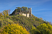 Burg Are, Altenahr, Ahrsteig, Rotweinwanderweg, Ahr, Rheinland-Pfalz, Deutschland