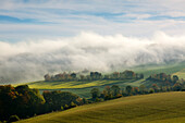 Nebel über den Feldern, bei Niederzissen, Eifel, Rheinland-Pfalz, Deutschland