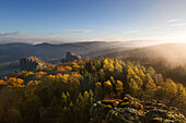 Morgennebel, Bruchhauser Steine, bei Olsberg, Rothaarsteig, Rothaargebirge, Sauerland, Nordrhein-Westfalen, Deutschland