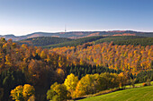 Forest in autumn, view from Altastenberg to Boedefeld telecommunication tower, Rothaarsteig hiking trail, Rothaar mountains, Sauerland, North Rhine-Westphalia, Germany