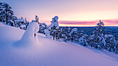 snow-sculpture covered in pastel-colored light on the hills of Luosto, finnish Lapland