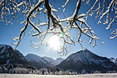 Germany, Bavaria, Alps, Oberallgaeu, Oberstdorf, Winter landscape, Winter holidays, Mountain panorama with Mountain peaks