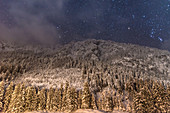 Germany, Bavaria, Alps, Oberallgaeu, Oberstdorf, Stillachtal, winter landscape at night, starry sky, winter holidays, snowfall over coniferous forest, mountains, pines