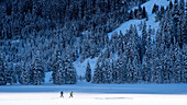 Austria, Ifen, Schwarzwassertal, winter landscape, winter holidays, winter sports, cross-country skiing, cross-country skis, winter hiking trail, cross-country ski run, snow, mountains