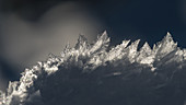 Deutschland, Bayern, Alpen, Oberallgäu, Oberstdorf, Winterlandschaft, Winterurlaub, Nahaufnahme von Eiskristallen, Schnee, Frost