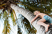 Boy climbing a palm tree on the beach of Playa Larga, family travel to Cuba, parental leave, holiday, time-out, adventure, MR, Playa Larga, bay of pigs, Cuba, Caribbean island