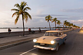 Oldtimer driving along the Malecon of Cienfuegos, meeting point in the evening and at night, nightlife, empty street, palm tree, colonial town, family travel to Cuba, parental leave, holiday, time-out, adventure, Cienfuegos, Cuba, Caribbean island