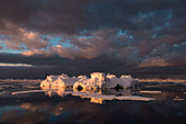Late-evening sun falls on sea ice and icebergs, Marguerite Bay, near Rothera Station (GB), Adelaide Island, Antarctica