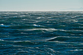 Raue See und starke Winde wüten im Rossmeer, Antarktis