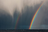Ein doppelter Regenbogen vor Sturmwolken, nahe Campbell-Insel, Subantarktische Inseln, Neuseeland