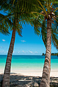 Zwei Palmen umrahmen einen idyllischen Blick auf weißen Sand und türkisfarbenes Wasser, Ile des Pins, Neukaledonien, Südpazifik