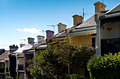 Terraced houses in the innercity suburb of Paddington, Sydney, New South Wales, Australia