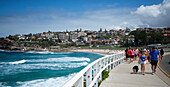 Der Bondi to Coogee Walk entlang der Küste Sydneys mit dem Coogee Beach im Hintergrund, Sydney, New South Wales, Australien