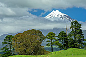 Vulcano Mount Egmont, Egmont National Park, Taranaki, North island, New Zealand