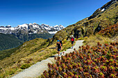 Zwei Personen wandern auf Routeburn Track mit neuseeländischen Südalpen im Hintergrund, Routeburn Track, Great Walks, Fiordlands Nationalpark, UNESCO Welterbe Te Wahipounamu, Queenstown-Lake District, Otago, Südinsel, Neuseeland