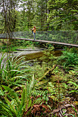 Woman crossing stream on suspension bridge, Kepler Track, Great Walks, Fiordland National Park, UNESCO Welterbe Te Wahipounamu, Southland, South island, New Zealand