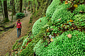 Frau wandert auf Weg durch Buchenwald, Kepler Track, Great Walks, Fiordlands Nationalpark, UNESCO Welterbe Te Wahipounamu, Southland, Südinsel, Neuseeland