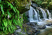 Wasserfall Purakauni Falls, Catlins River, Otago, Südinsel, Neuseeland
