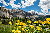 Passo Gardena, Naturpark Puez-Geisler, Dolomiten, Selva di Val Gardena, Südtirol, Trentino-Alto Adige, Italien