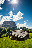 Hütten am Grödner Joch und Langkofel, Passo Gardena, Naturpark Puez-Geisler, Dolomiten, Selva di Val Gardena, Südtirol, Trentino-Alto Adige, Italien