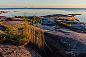 Sonnenaufgang Landschaft Kaellandsoe am Vänersee, Schweden