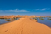 Rare temporary lake in the desert, Erg Chegaga, Sahara, Morocco