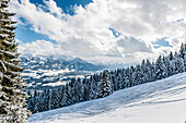 verschneite Winterlandschaft, Schneeschuhtour, Ofterschwanger Horn, Hörnerdörfer, Allgäu, Baden-Württemberg, Deutschland, Europa, Winter, Alpen