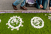 Helfer legen Blüten für den Blumenteppich, Fronleichnam, Prozession, Sipplingen, Überlinger See, Bodensee, Baden-Württemberg, Deutschland, Europa