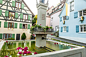 Blüten in einem Brunnen, Blumenteppich, Fronleichnam, Prozession, Sipplingen, Überlinger See, Bodensee, Baden-Württemberg, Deutschland, Europa