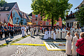 Fronleichnam Prozession, Blumenteppich, Sipplingen, Überlinger See, Bodensee, Baden-Württemberg, Deutschland, Europa