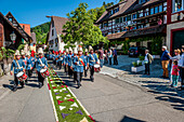 Musikkapelle, Fronleichnam Prozession, Blumenteppich, Sipplingen, Überlinger See, Bodensee, Baden-Württemberg, Deutschland, Europa