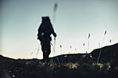 Hiker on a route through greenland, greenland, arctic.