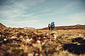 Hiker on a route through greenland, greenland, arctic.