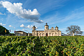 Cos d Estournel, Weinbau, Medoc, Bordeaux, Gironde, Aquitaine, Frankreich, Europa