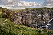 Blick vom O´Briens zu den Klippen von Moher, Grafschaft Clare, Wild Atlantic Way, Irland, Europa
