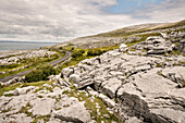 Karstlandschaft The Burren, Grafschaft Clare, Irland, Europa