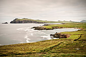 die Küste bei Ferriter’s Cove,Dingle Halbinsel, Slea Head Drive, Grafschaft Kerry, Irland, Wild Atlantic Way, Europa