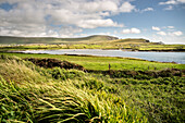 Foilhommerum Bucht,Valentia Insel, Grafschaft Kerry, Irland, Wild Atlantic Way, Europa
