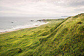 coastal landscape at Carrick-a-Rede rope brdige, Northern Ireland, United Kingdom, Europe