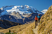 Mann und Frau wandern mit Marmolada im Hintergrund, Col di Lana, Dolomiten, UNESCO Welterbe Dolomiten, Venetien, Italien