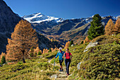 Mann und Frau beim Wandern mit Cevedale im Hintergrund, Martelltal, Ortlergruppe, Südtirol, Italien
