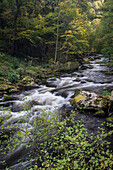 Fluss Bode, Bodetal, Thale, Landkreis Harz, Nationalpark Harz, Sachsen-Anhalt, Deutschland, Europa