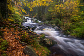 Wasserfall Untere Bodefälle, Fluss Warme Bode, Braunlage, Nationalpark Harz, Niedersachsen, Deutschland, Europa