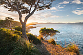 Evening mood at S'Illot, bay of Pollenca, Mallorca, Balearic Islands, Spain