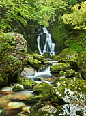 Wassefall im Lepena Tal, Triglav Nationalpark, Slowenien