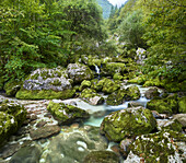 Lepenjica, Lepena Tal, Triglav Nationalpark, Slowenien