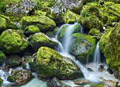 Lepenjica, Lepena Tal, Triglav Nationalpark, Slowenien