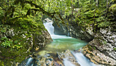 Triglav, Slovenia Lepe Jica, lepena valley, National Park, Slovenia