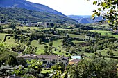 Bardolino-Weinfelder bei Affi, Ostufer, Gardasee, Veneto, Italien